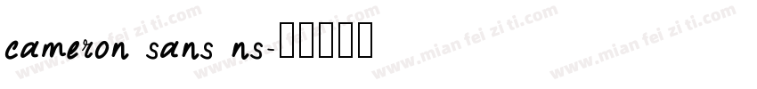 cameron sans ns字体转换